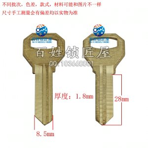 A161 雙飛