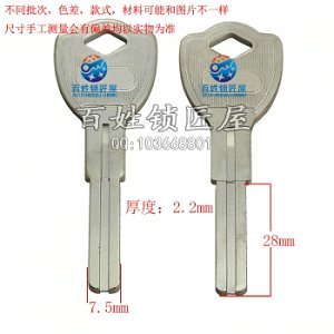 B393 金鱒 雙面葉片