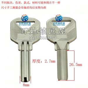 B413 大將軍盾