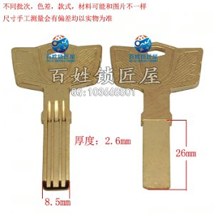 B466 短電巨雙排量子