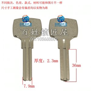 B461 古葉片