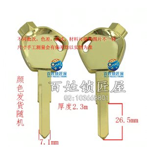 C563 電鍍把柄帶磁 右 金 古銅