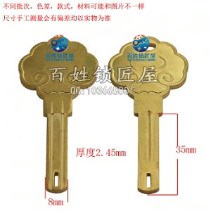 B500 福有孔葉片
