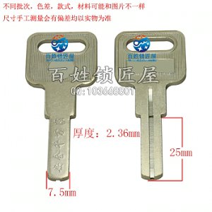 B598 意原子單面葉片