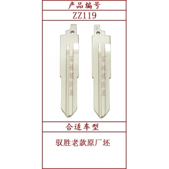 ZZ119	斜頭原版 119#