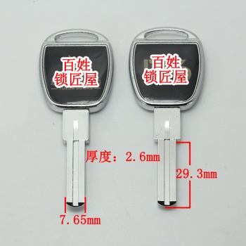 11007 鑲邊滴膠躍葉片