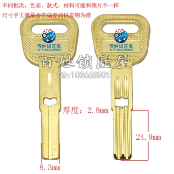 B668 帶孔黃金甲胚