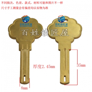 B500 福有孔葉片
